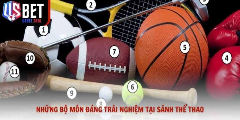 Những bộ môn đáng trải nghiệm tại sảnh thể thao